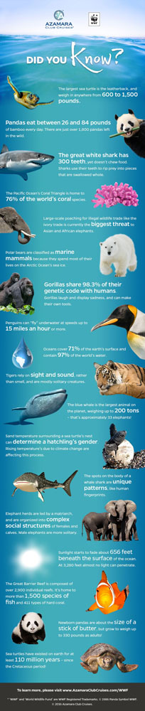 18 Fascinating Facts About Animals Around The World 18 Fascinating Facts About Animals Around The World