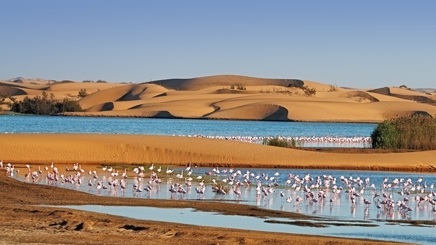 Golden desert dunes reflected in a tranquil lagoon in West Africa.