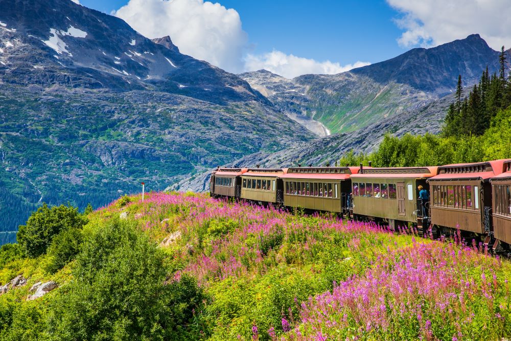 Alaska Wildlife and Rail Image