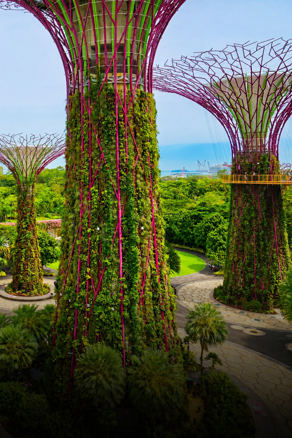 Supertree Grove at Gardens by the Bay