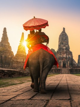 couple riding an elephant under a red umbrella in temple courtyard 