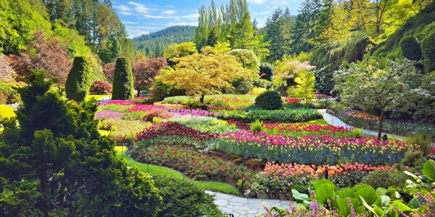 Colorful flower beds and lush trees in a garden