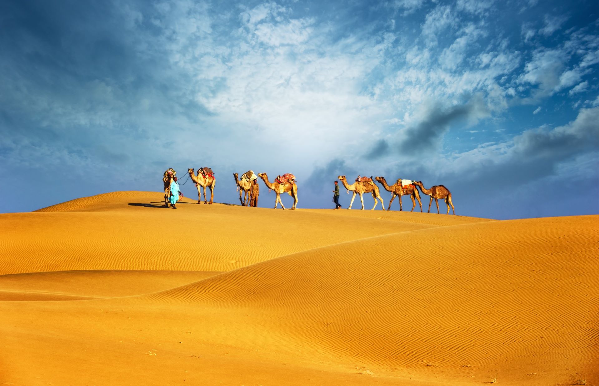 men in desert with camels