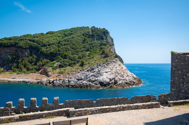 Rocky coastline and green hills of Palmaria Island