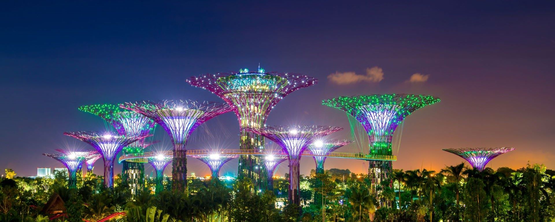 nightime cityscape