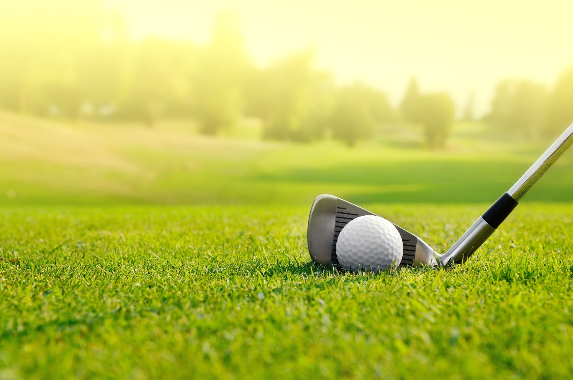 golf club and ball on course