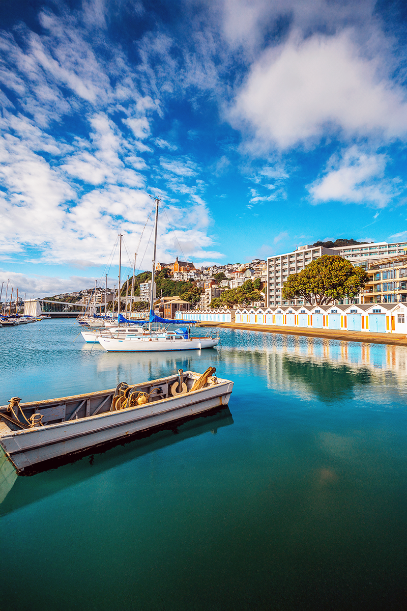 Wellington waterfront with sailboats, colorful boat sheds, and hillside city views.