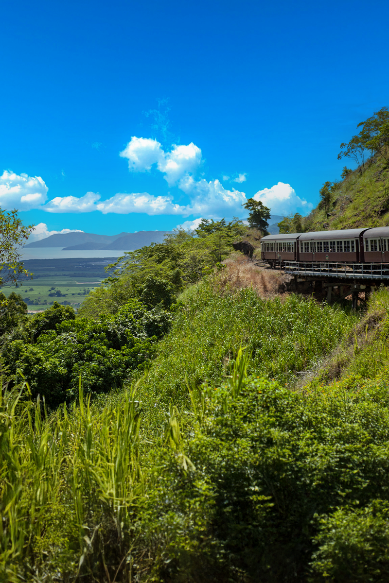Heritage train traveling through the tropical rainforest and mountain scenery near Cairns.