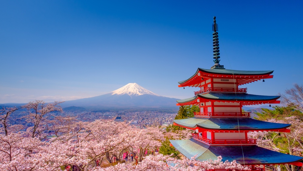 japan intensive voyage