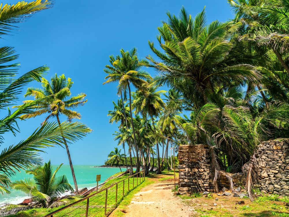 barbados, french guiana & brazil cruise: bridgetown, ile royale & rio de janeiro