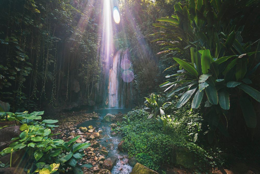 eastern caribbean cruise: barbados, saint lucia & british virgin islands