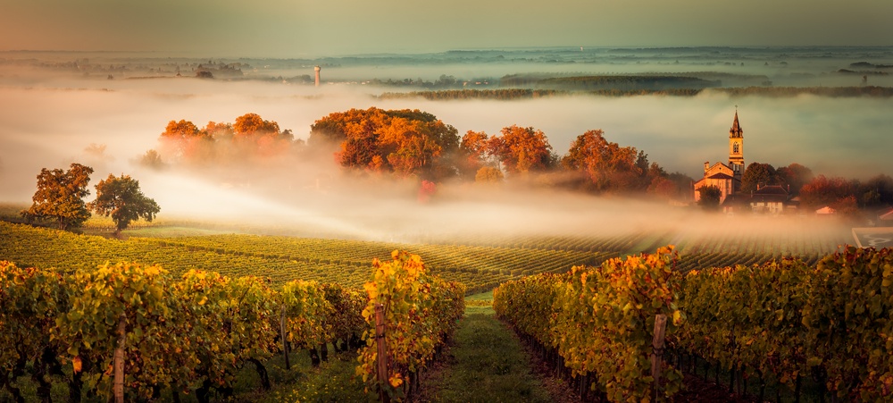 wine & culture voyage