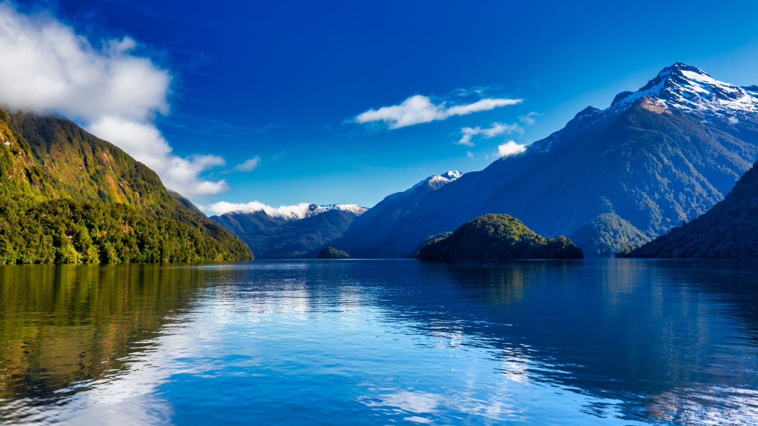 australia & new zealand voyage