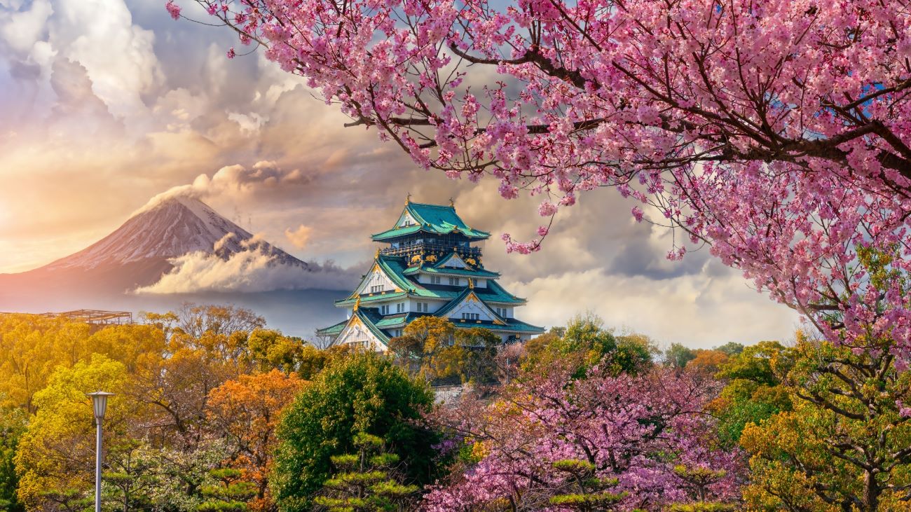 japan intensive cruise: toyama, sakaiminato & kobe