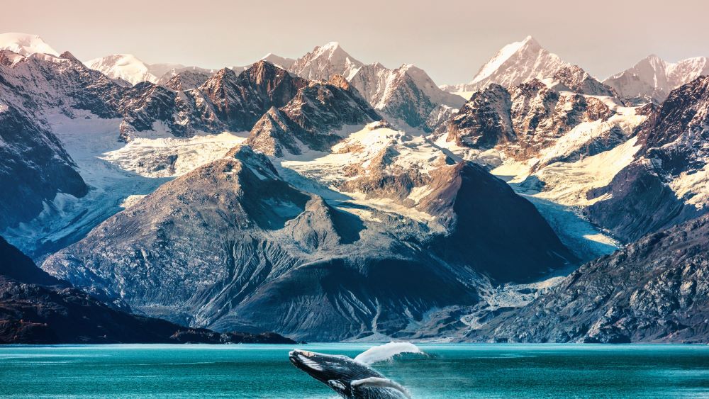  Photo Credit: Azamara