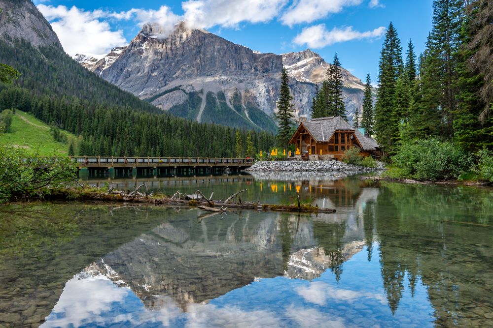 alaska cruisetour: skagway & hubbard glacier + 4-nt post wildlife & rail tour