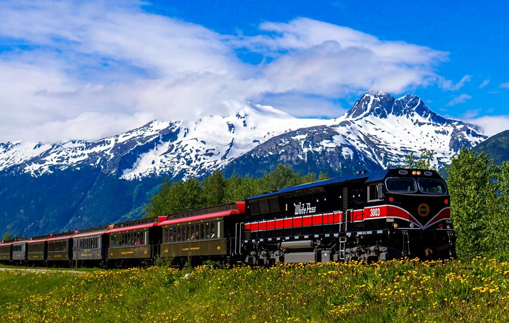 alaska cruisetour: ketchikan & hubbard glacier + 4-nt post denali riverboat & rail tour
