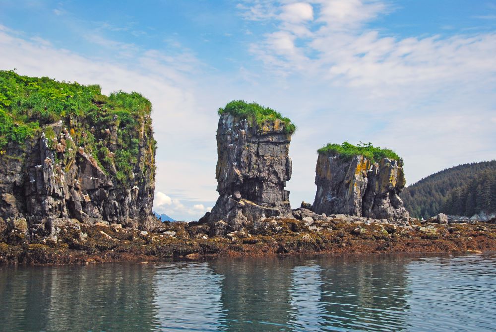 alaska cruisetour: juneau & hubbard glacier + 4-nt post denali riverboat & rail tour