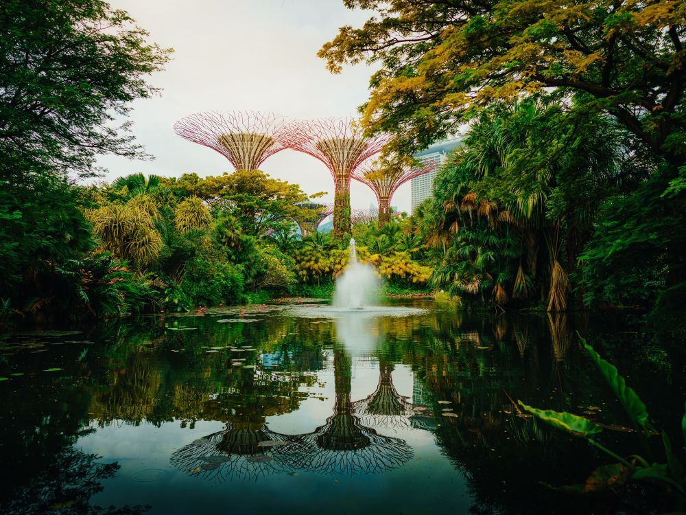 singapore & indonesia cruise: singapore, semarang & benoa