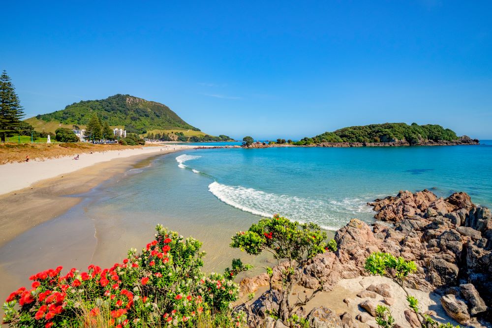 new zealand & australia cruise: auckland, milford sound & sydney