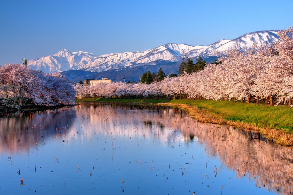 japan intensive: kobe, aomori & tokyo