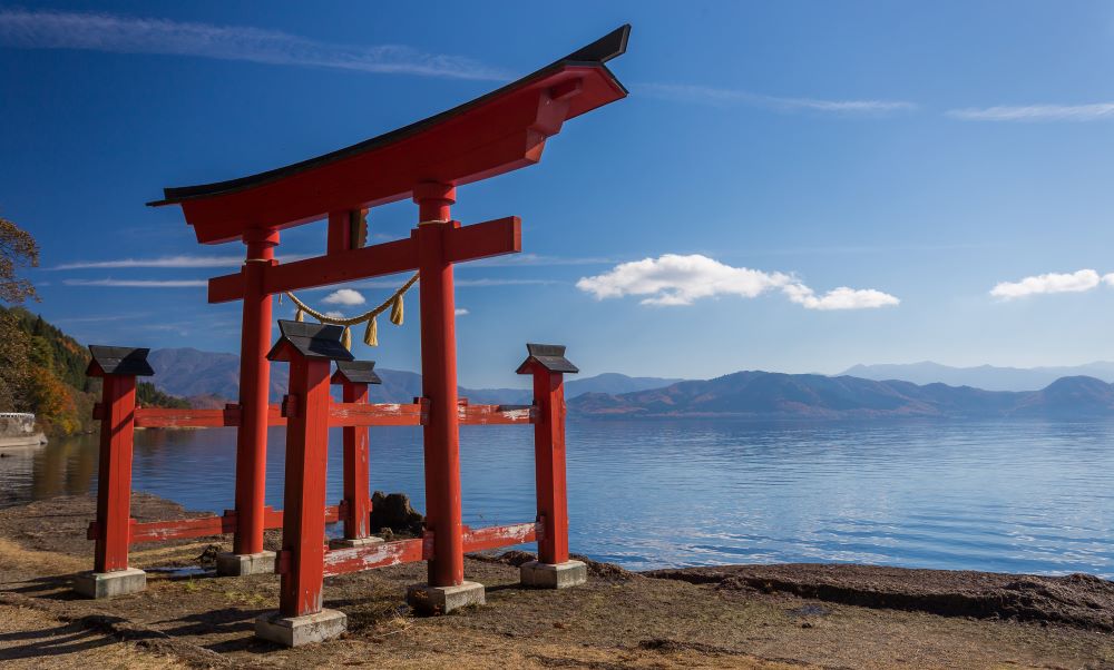 Ireland rugby World Cup jersey 2023 displayed against a Japanese cityscape, illustrating travel-ready style