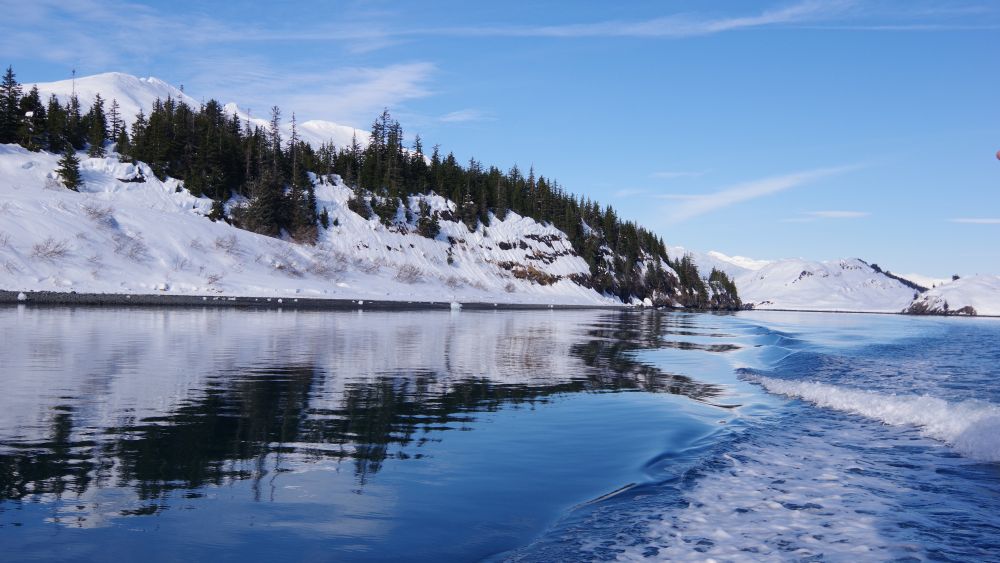 alaska explorer cruisetour: denali, talkeetna, riverboat & rail