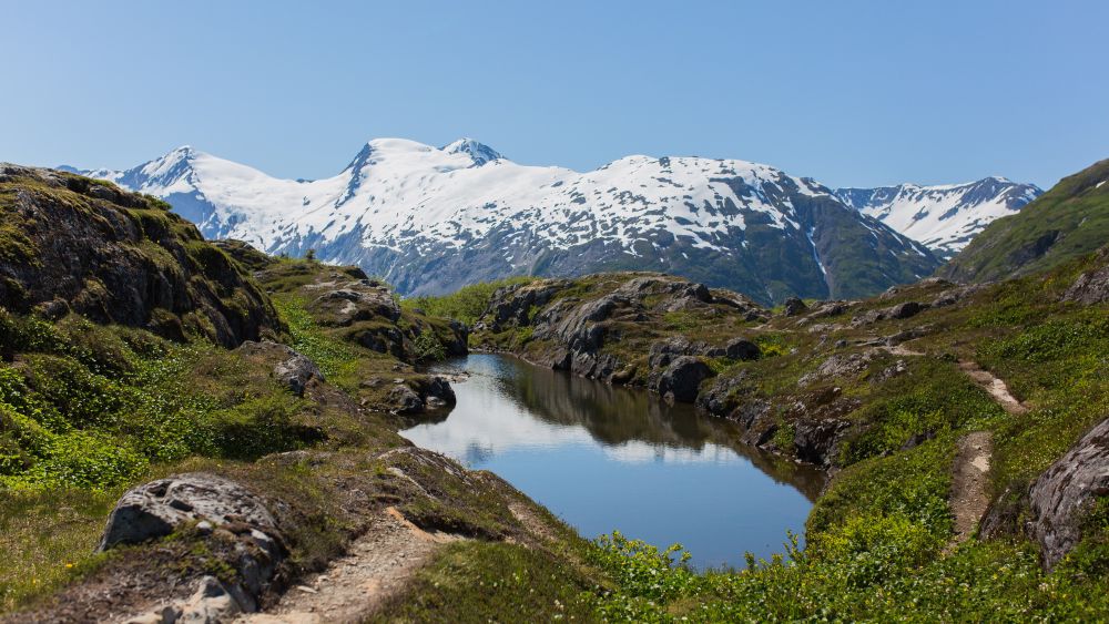 canadian rockies cruisetour: rocky mountaineer goldleaf service