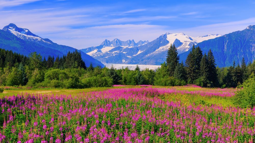 alaska cruise: ketchikan, sitka & icy strait point Map