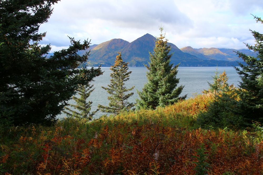 alaska & japan combination cruise: ketchikan, hubbard glacier & tokyo Map