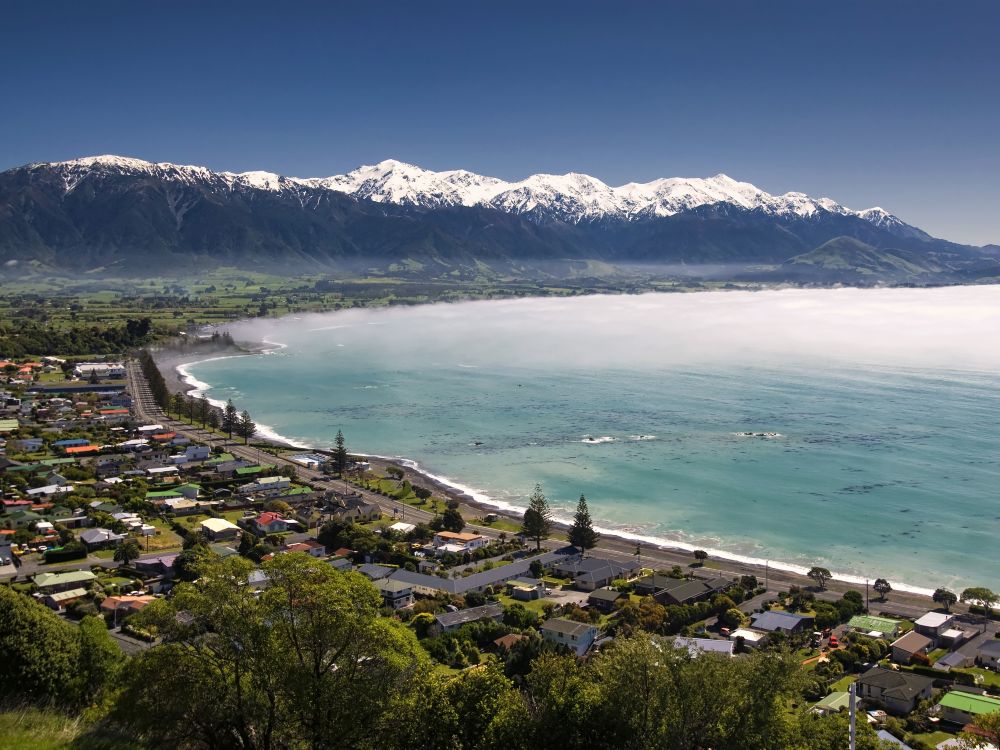 new zealand intensive cruise: auckland, dunedin & kaikoura Map