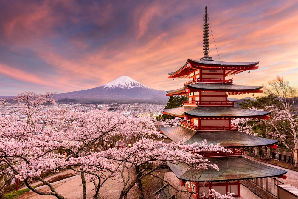japan intensive voyage