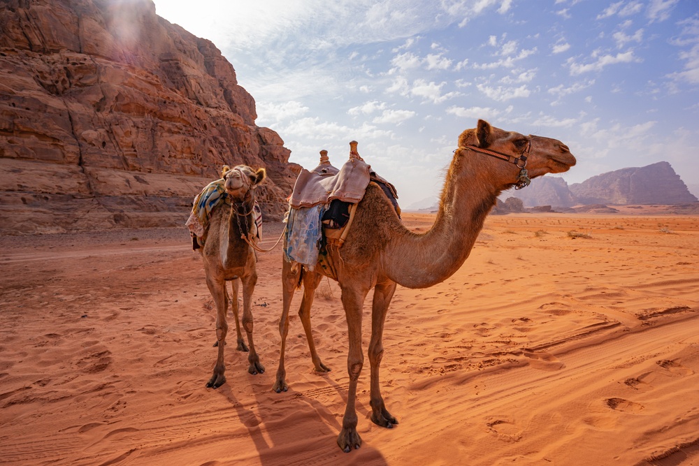 spice route voyage