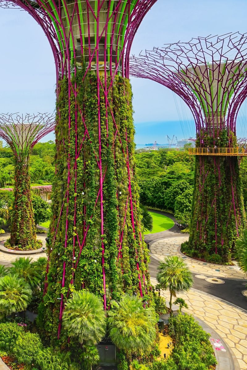 Supertree Grove at Gardens by the Bay