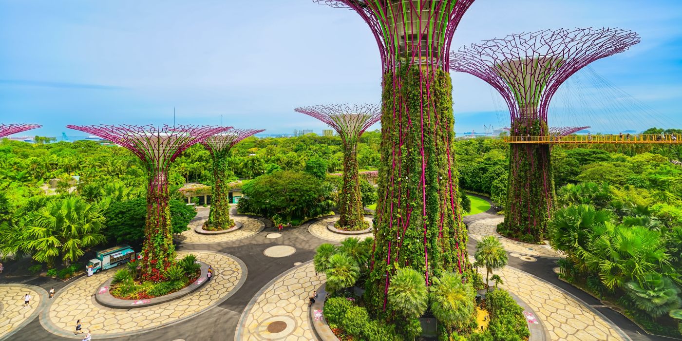 Supertree Grove at Gardens by the Bay