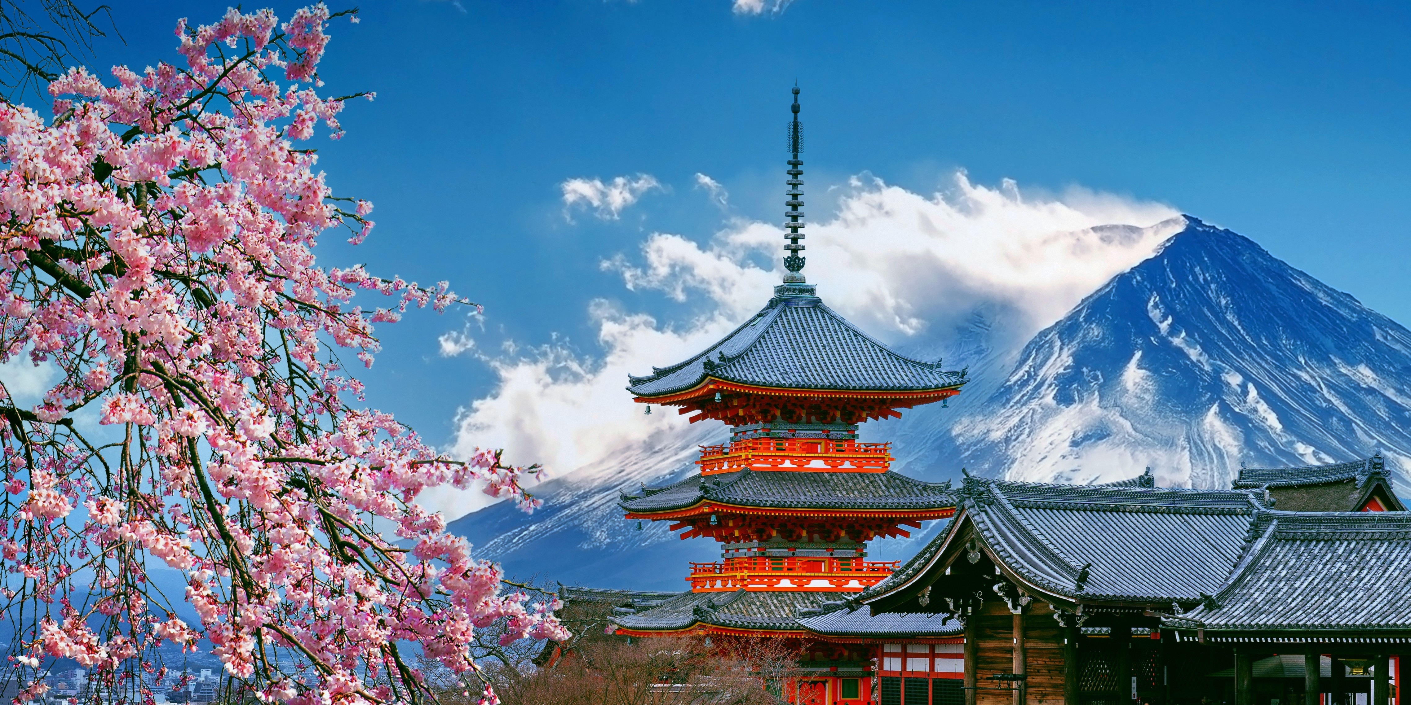 Pagoda, cherry blossoms and Mount Fuji