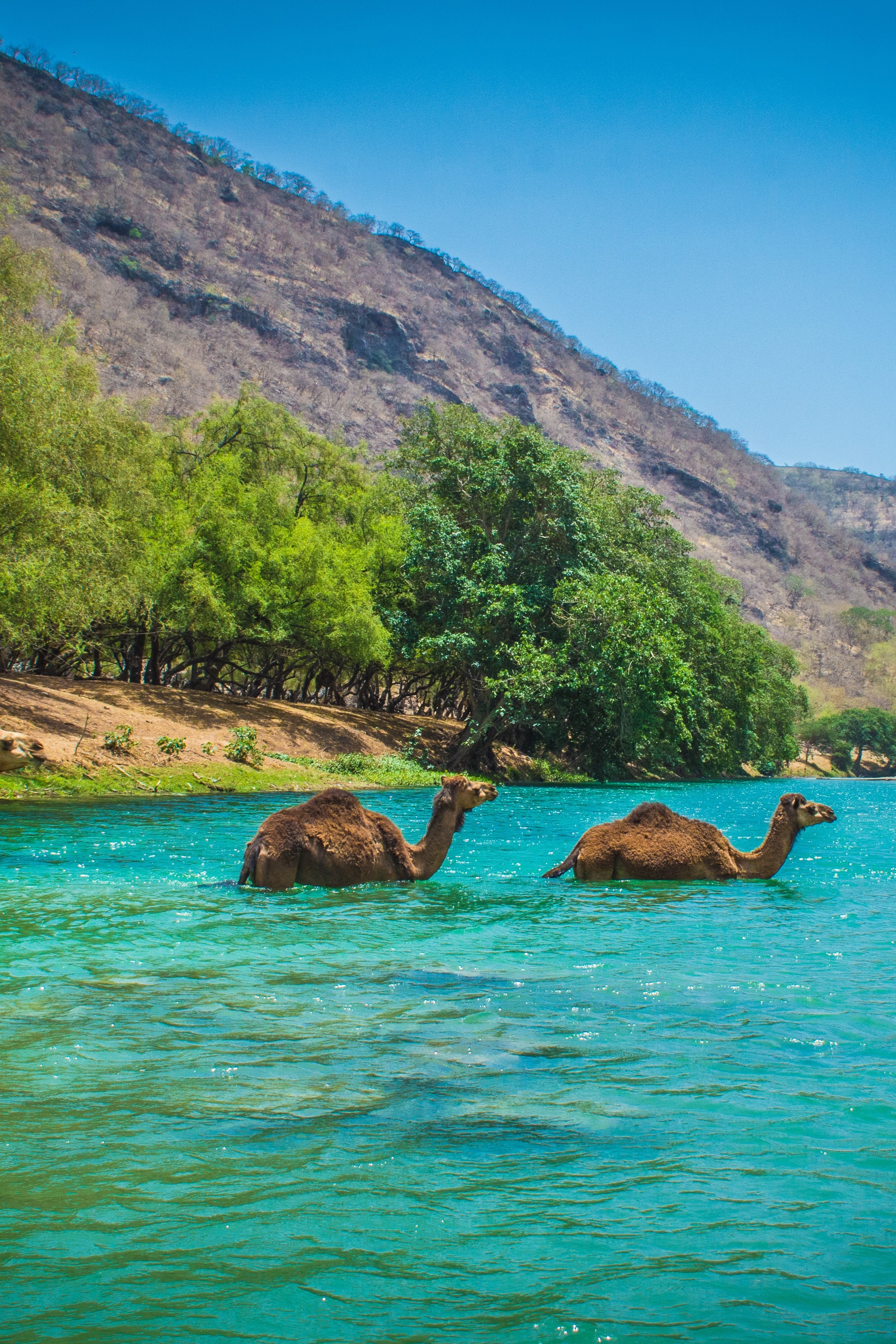 Salalah, Oman