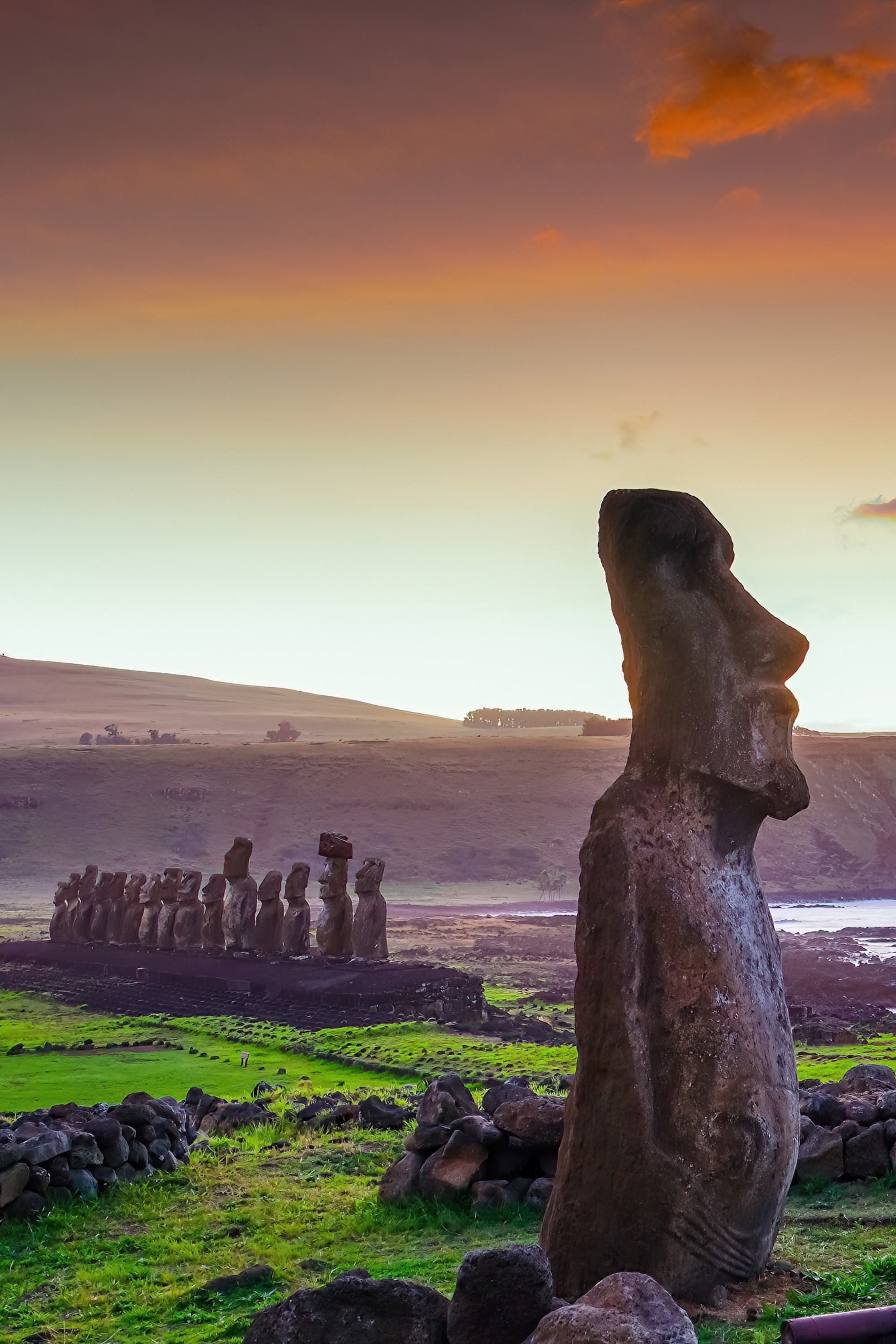 statue in field at sunset