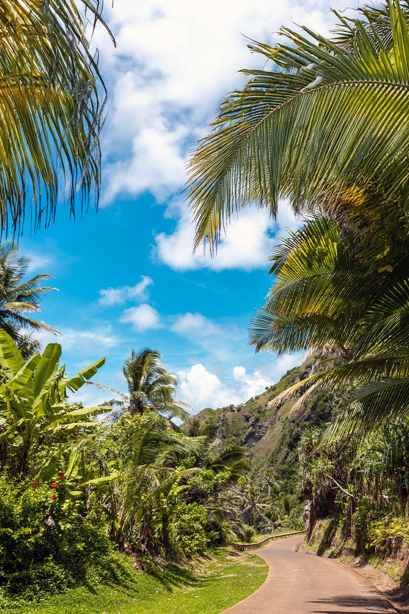 Lush tropical landscape and winding path on remote Pitcairn Island under bright blue skies.
