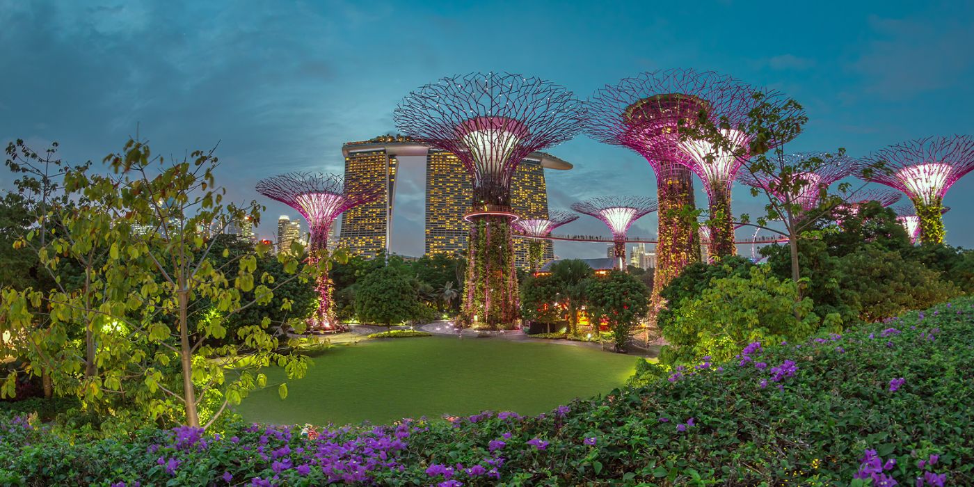 Singapore’s Gardens by the Bay at dusk with illuminated Supertrees and Marina Bay Sands in the background.