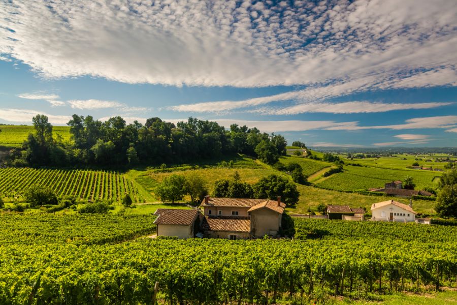 2-Night City Stay in Bordeaux  Photo