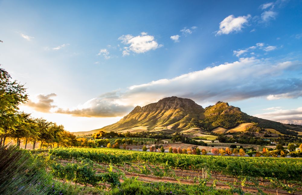 Greater Kruger National Park Safari & Winelands Photo