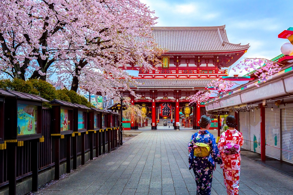 2-Night City Stay in Tokyo Photo