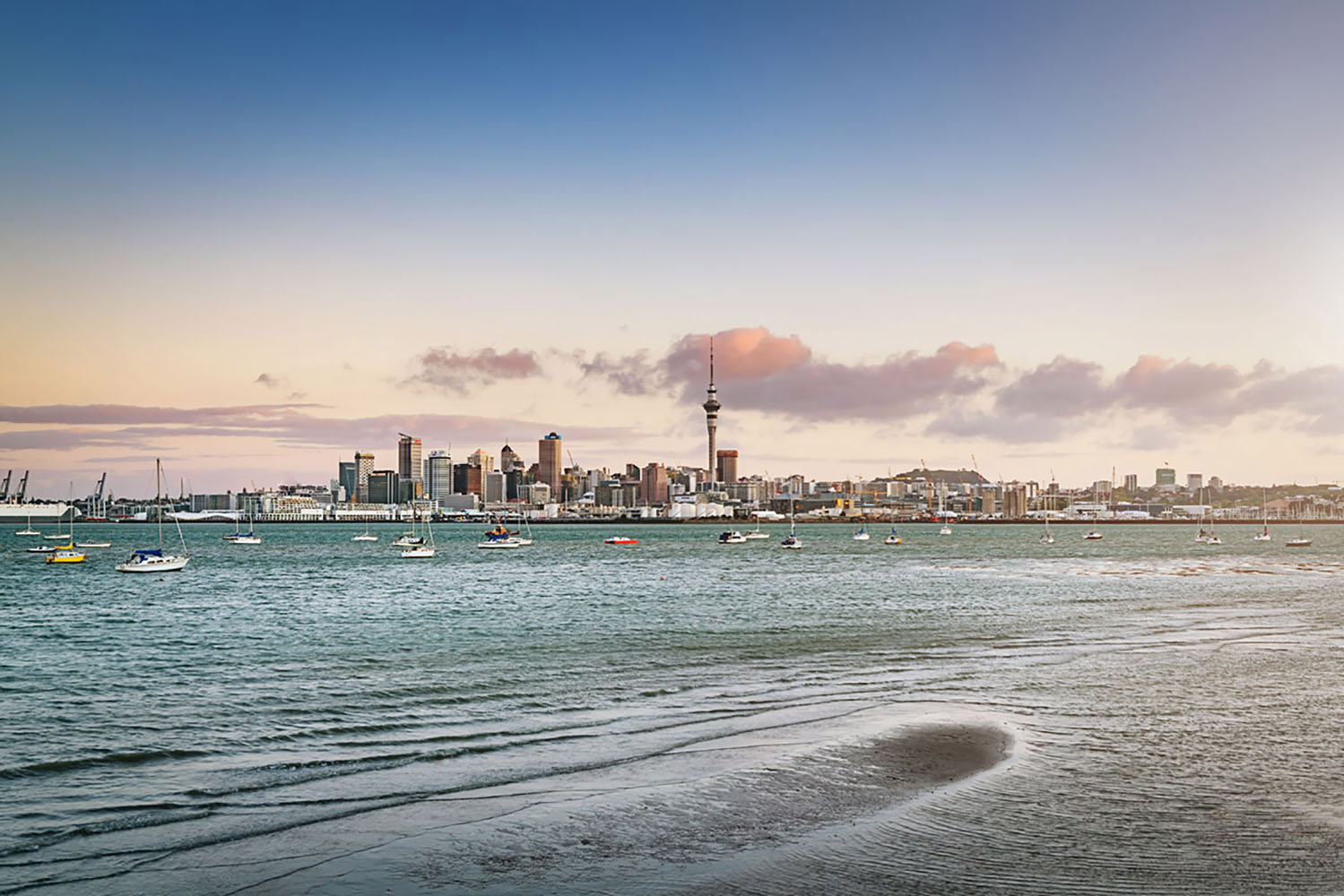 The skyline of Auckland, New Zealand with sailboats in the harbour.