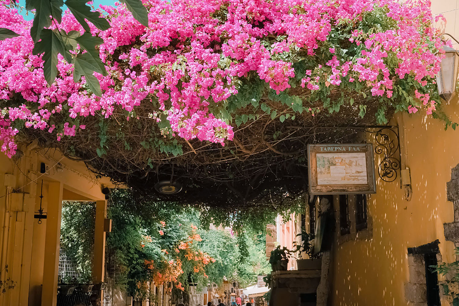 Crete truly is a photographer's dream.