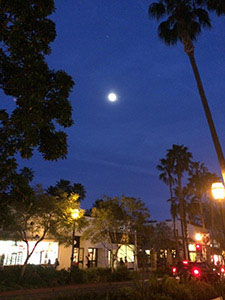Moonlight