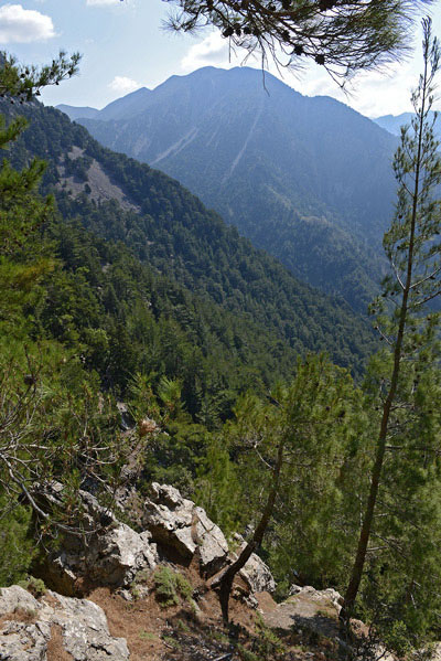 Beautiful Mountain View