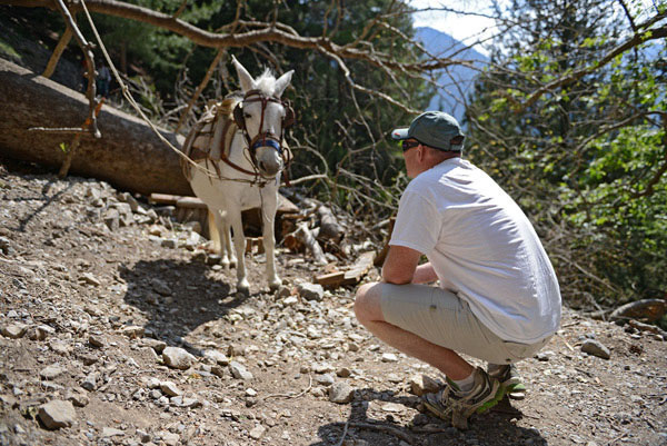 Come Here, Goat