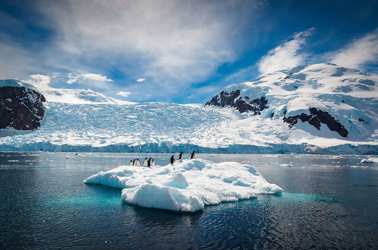 Penguins sit on top of ice in Antarctica.