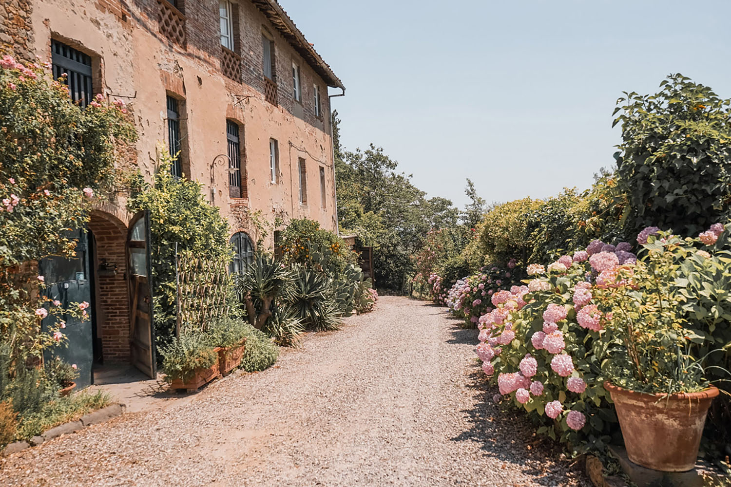 From your port in Livorno you can have a wine tasting in Tuscany.